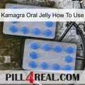 Kamagra Oral Jelly How To Use 20